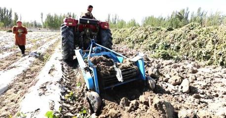 特色种植与农机创新 开辟农民增收新蓝海